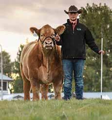 Brice & Jay Hill Bryce Hill is a fourth generation Simmental breeder. He is also a fifth generation beef producer.