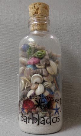 WITH SHELLS INV# NM1 $8.54 (VAT INCL.