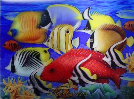 75 ) CORAL FISH 3D POSTCARD INV# 46992-3DP (6.25 X 4.75 ) WHOLESALE PRICE (MAGNET): $6.83 (VAT INCL.
