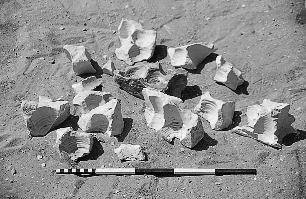 PES XIX_2017_studied_90-136_PES 14.12.17 9:47 Stránka 90 9 0 P E S X I X / 2 0 1 7 S T U D I E S Fig. 1 Part of the deposit of drilled fragments from Saqqara (photo A.