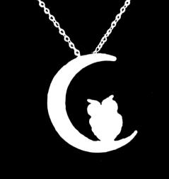 WISE OWL COLLECTION 54850 Silver Plated Owl on Diamante Moon