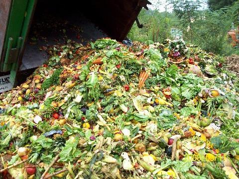 Environmental Sustainability - Food Waste Management Food waste from