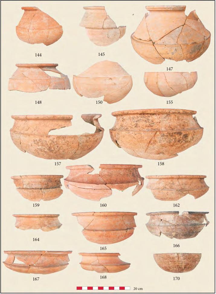 Note its marked breadth, structural post foundations, and the lip to lip set of pottery vessels adjacent to the wall. Scale 50 cm. Probably 6 th century AD.