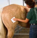 Cleaning Tough Stains For white and light-colored horses, mix Vetrolin White N Brite with optical coat brighteners in a bucket of warm water. Sponge over entire body and leave on for 2-3 minutes.