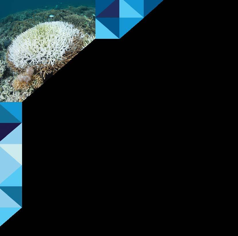 Sunscreen ingredients like Oxybenzone and Octinoxate have been shown to worsen coral s sensitivity to rising water temperatures which is the main catalyst to coral bleaching.