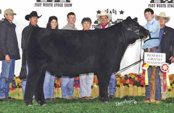 This is a maternal half sister to Will Fosters Reserve Grand Champion Chi female at the 2008 Ft Worth Stock Show. FBF Peony 005N puts tremendous front ends with a lot of style in her offspring.