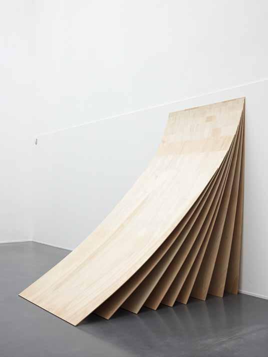 La Jalousie 9 plywood plancks, 250 x 150 cm each, 2010 View from the duo show :