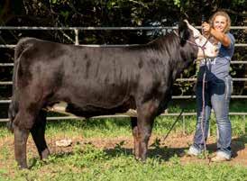 Welcome to our 3th Annual Simmental, Sim-Angus & Angus Production Sale! Ruth Simmentals Russ, Barb, Jake & Cassie Ruth Russ 402.36.8221 Jake 402.36.8390 Makovicka Angus John & Connie Makovicka 402.