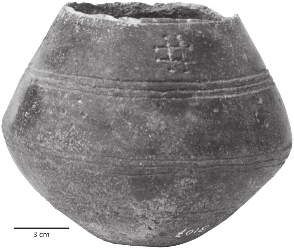 MATARA: THE ARCHAEOLOGICAL INVESTIGATION OF A CITY OF ANCIENT ERITREA Widely distributed in the upper layer, one type of vase deserves a special mention, particularly as it does not seem to have