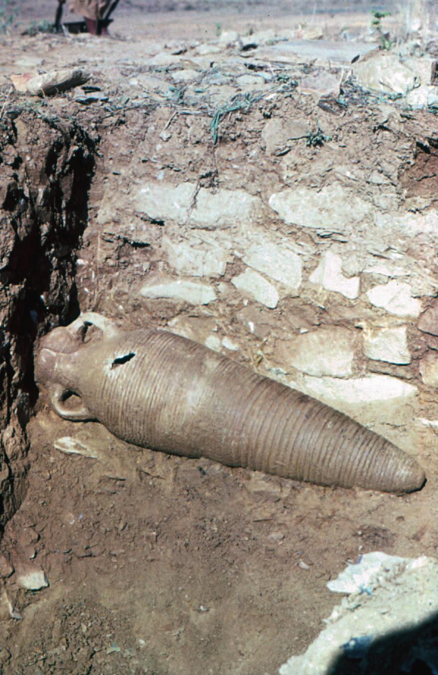 FRANCIS ANFRAY Among the pottery remains of the upper layer of the site were also found a category of vases originating in the Mediterranean world. These are the ribbed amphorae (figures 51-52).
