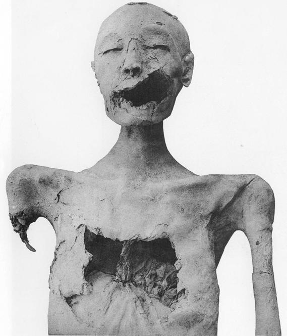 The Younger Lady is the informal name given to a mummy discovered in the Egyptian Valley of the Kings, in tomb KV35 by archeologist Victor Loret in 1898.