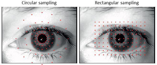 Our proposal for periocular recognition Retinotopic sampling Sampling grid centered on the pupil center Points arranged in concentric circles or in a squared grid of equidistant points Gabor