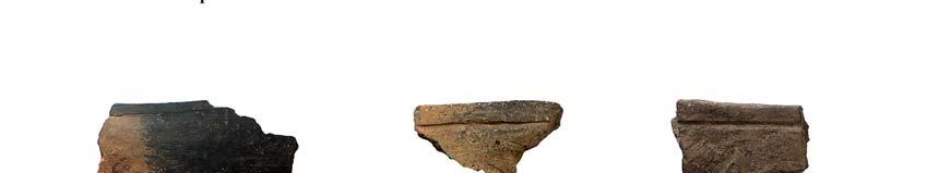 sherds p51-59;