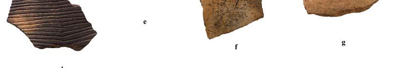 mixed-clay tempered pottery: these exterior incisions are accompanied by one or two lines incised in the lip (Williams