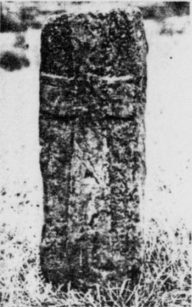 11 PLATES Plate 1 Reproduction of the photo of the cross-carved stone from Knockavally mound as