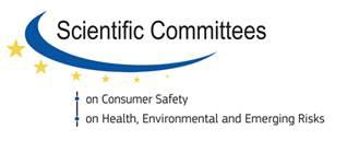 Version S Scientific Committee on Consumer Safety SCCS