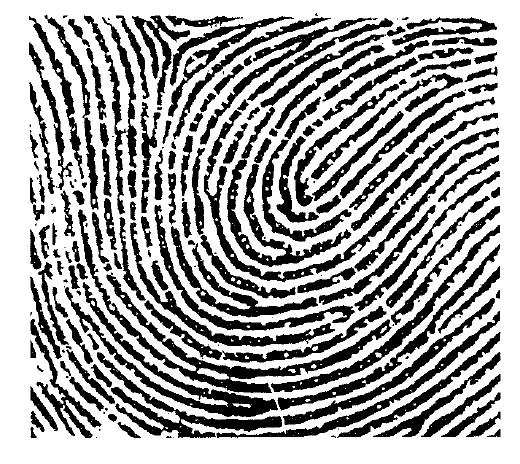 #10 Using the fingerprint on your