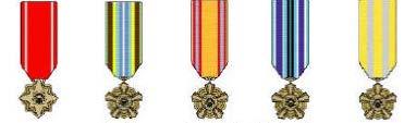 Wearing Medals and Devices Devices are worn on medals, similarly as on ribbons except for the E device is not worn on the