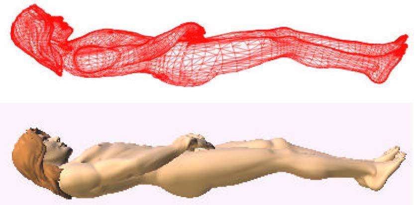 Recently (2000) Basso et al. demonstrated the compatibility of the frontal and dorsal image with a human body.