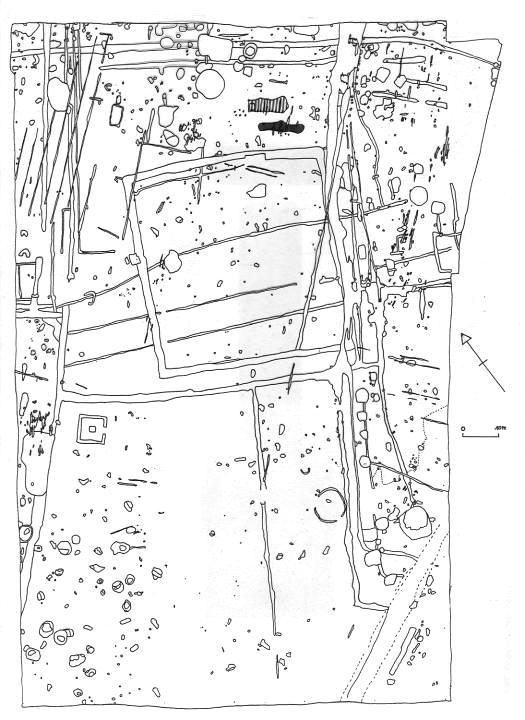Fig. 4.153 Tienen, Grijpenveld. Mithraeum on parcel of land with palisade next to a road of the site (red line = Roman road route).