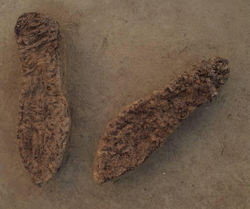 Fig. 2.19. Remains of sandals with small nails in an inhumation grave of the southwestern cemetery of the Roman vicus of Tienen, Grijpenveld.