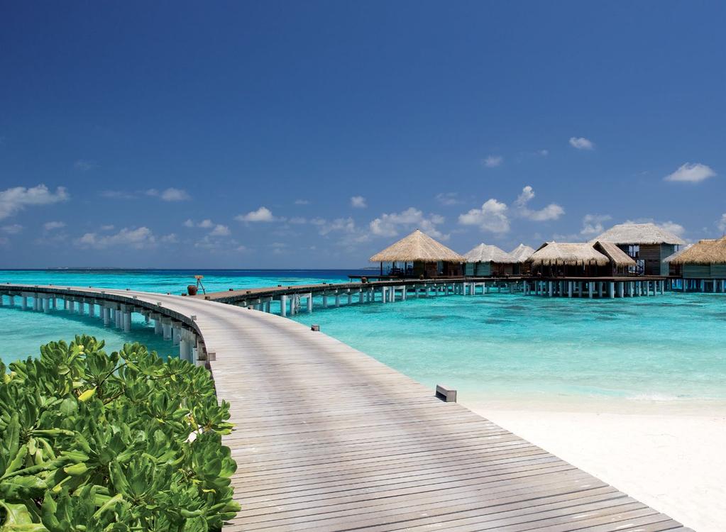 COCO SIGNATURE TREATMENT JOURNEY TO MALDIVES Capturing the true essence of Maldivian charm, tranquility, and beauty, this ritual will rekindle your senses and lead you to a place of synchronised