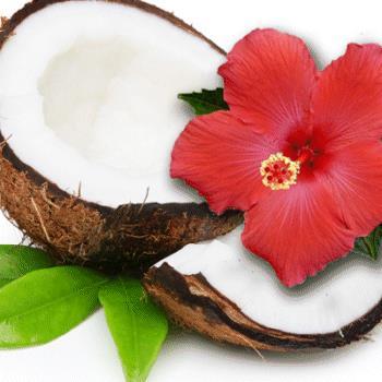 COCONUT & HIBISCUS REASON FOR BEING Specifically formulated