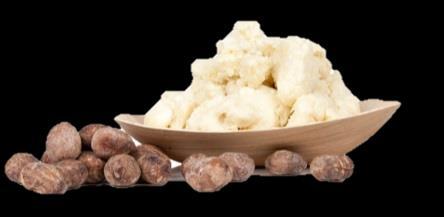 RAW SHEA BUTTER REASON FOR BEING A deeply