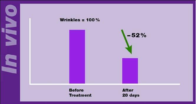 Test in vivo Made by Hamilton Poland Laboratory 52% total % of decrease in wrinkle size after