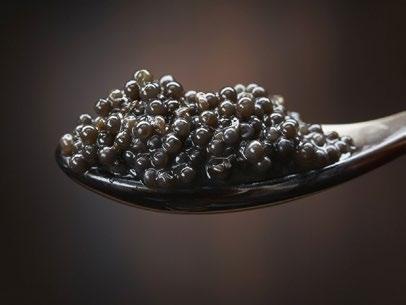 The Caviar If you think that adding Caviar to cosmetics is just a gimmick, think again.