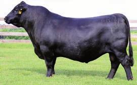 Featured FF Rita 6R28 of 3R30 Rampage Dam of Lots 4A and 4B.