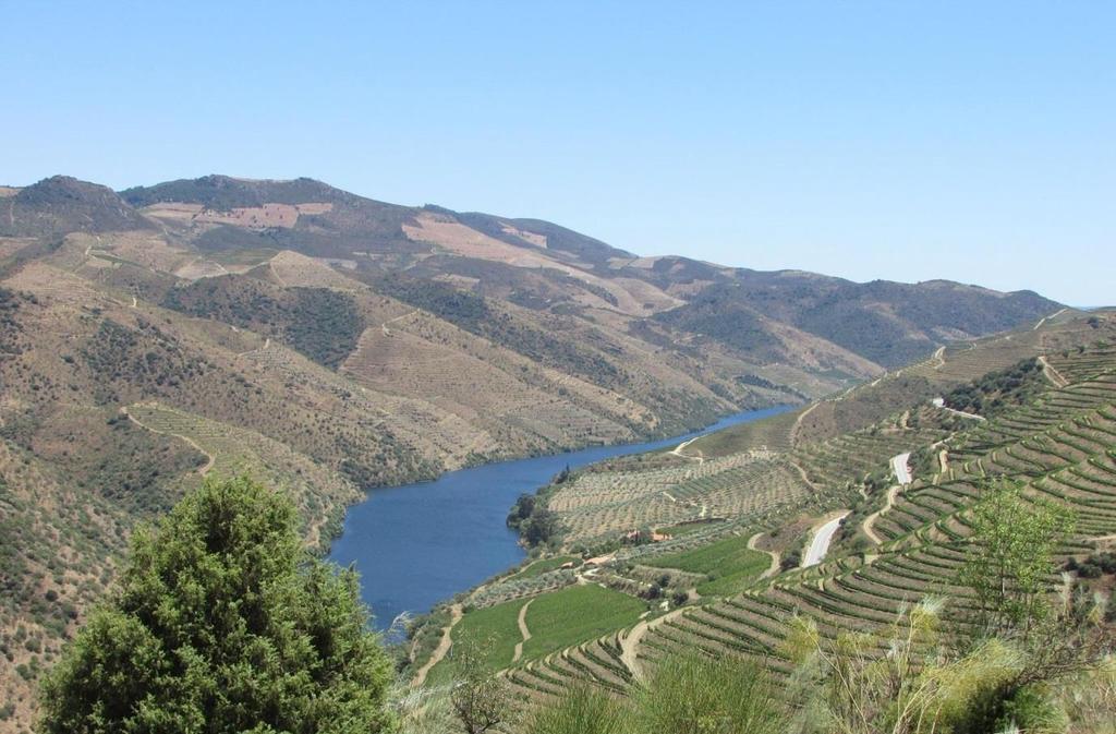 Leisurely activities included being taken to the Douro River to swim. The freshwater river was a mere 25 minute drive from our site.