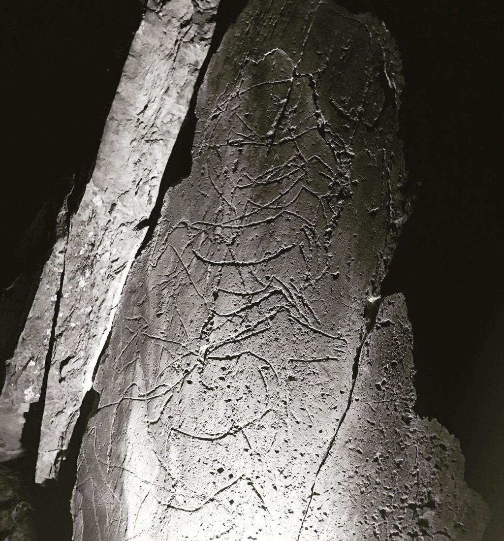 messages, early post markers, art used for storytelling, and shamanism. Below are photos of the rock art taken at night under torchlight.