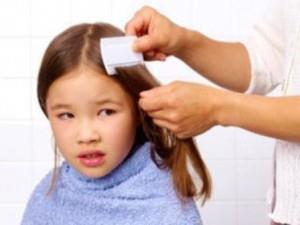 Once a Week, Take a Peek! (Head Lice Advice) Within most schools at any one time, there will be a small number of children infected with head lice.