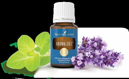 ESSENTIAL OIL BLENDS When essential oils work in harmony, the combined effect can be transformative.