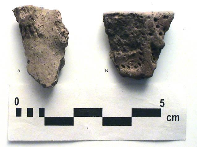 et al. 2000). Plate 28: Holly Site Effigy (495-180 F2010 Q3 L2: 4929) The remaining two effigies are indeterminate.