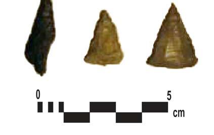 Not only do both lateral margins of this artifact show evidence of utilization/retouch, but the base has been worked to resemble an end scraper, as opposed to a concave base.