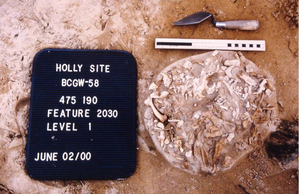 The Archaeology of the Holly Site (BcGw-58) Page 149 Plate 46: Feature 2030 Level 1. 7.
