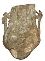 A twelfth- or thirteenth-century flask (LVPL-5646E7) from Hale, Cheshire (34 x 24.