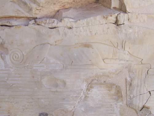 Diary of a new volunteer on the South Asasif Conservation Project by Patricia Mason In January 2011 Elena came to my local Ancient Egypt Society to talk about the Rediscovered Kushite Tombs of the