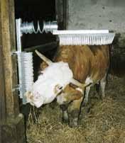 Maintenance of freestanding stations allows cattle to behave in a natural manner, including hygiene functions. These include: licking, rubbing against objects and scratching.