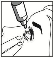 It could infect the drops. Gently squeeze the bottle to release one drop of medicine at a time (picture 3).