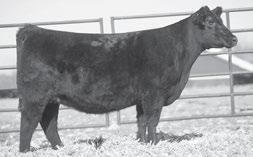 - Spring Pairs Erica 5124 - She sells as Lot 103. iss O Reilly 603 - She sells as Lot 106.