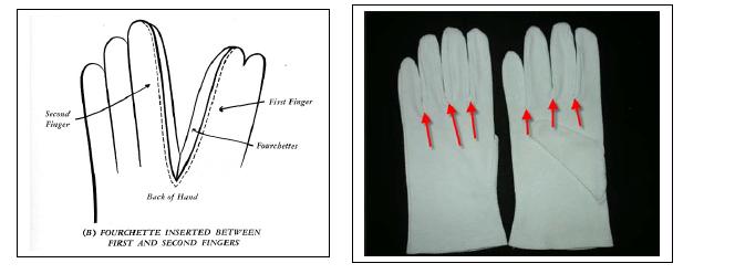 T erminology Fourchettes (Glove): The strip or shaped piece used for the sides of the fingers of a glove.
