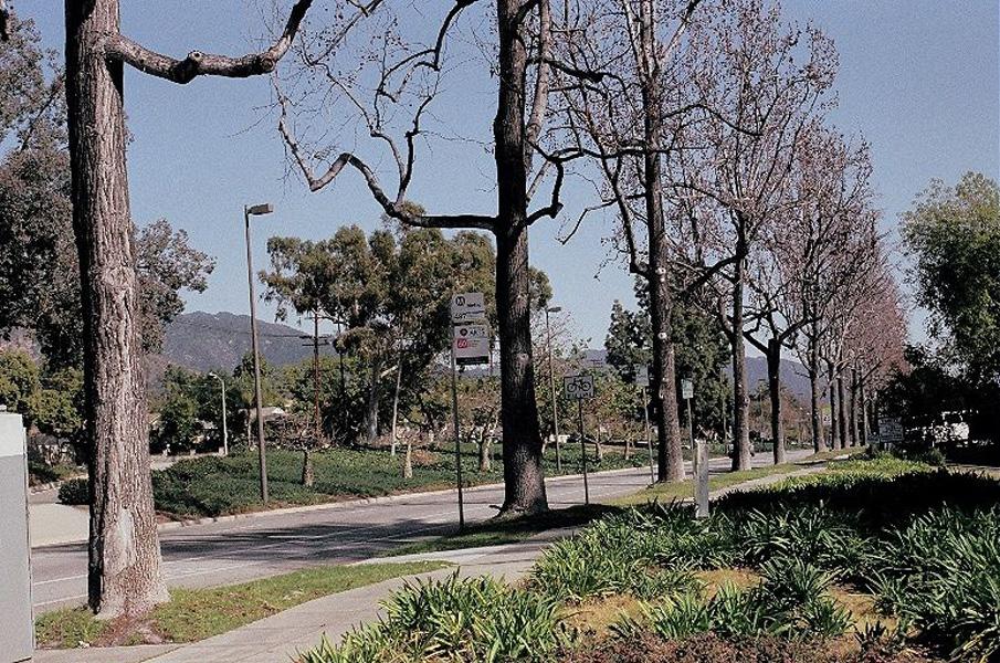 Rosemead Boulevard is the main highway bordering Chapman Woods and connects to major streets such as Foothill Boulevard and Colorado Boulevard.