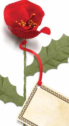 Remembrance Poppy Brooch RRP: