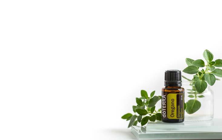 Oregano The immunity warrior An Immune System Boost - Take several drops in a Veggie Capsule for periodic immune support.