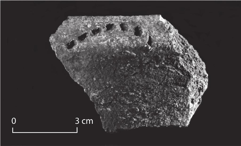 306 Geoffrey Clark Figure 133. Qaranioso II rim sherd marked with a coarse dentate tool. References Anderson, A. and Clark, G. 1999. The age of Lapita settlement in Fiji.