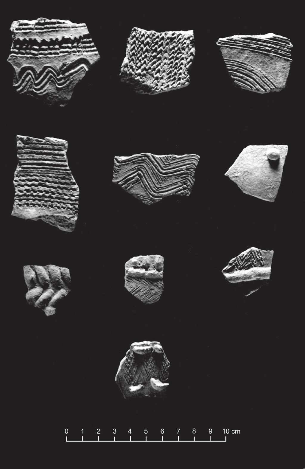 Ceramic assemblages from excavations on Viti Levu, Beqa-Ugaga and Mago Island 263 Figure 117. Navatu 17A, Layer 1 sherds decorated with shell impression, appliqué and incision.