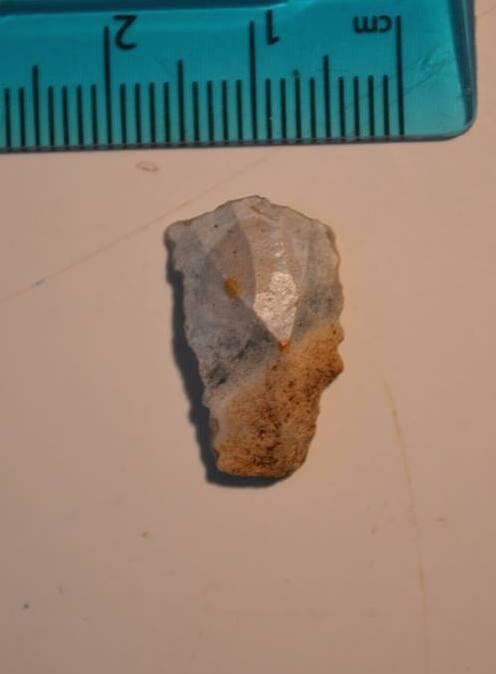 Figure 14. Mesolithic flint bladelet from pit [B05] found within the environmental sample of context (B06). 8 